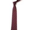 ST PAUL'S TIE, St Pauls Catholic School