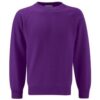HEATHFD RAGLAN SWEATSHIRT, Heathfield Infant & Junior Schools