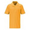 AW21-ST EDMUND POLO, St Edmunds RC Primary