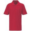 HIS POLO TOP, Hampton Infant School