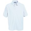 HEATHFD POLO, Heathfield Infant & Junior Schools